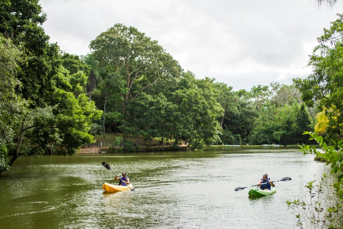 Sit-on-top kayak